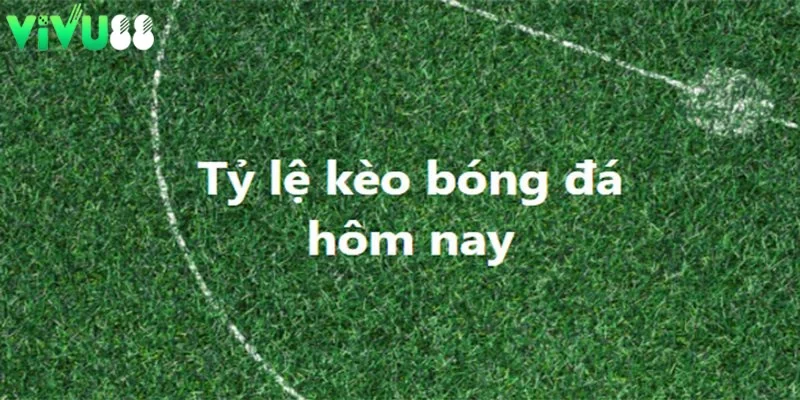 Bật mí những bí quyết chơi tỷ lệ kèo 2 in 1 thắng lớn