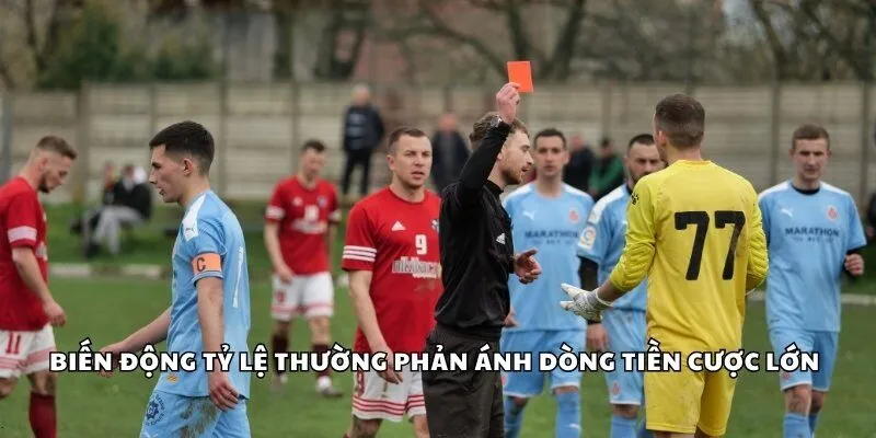 Biến động tỷ lệ thường phản ánh dòng tiền cược lớn
