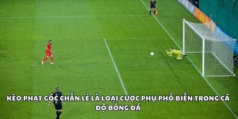 Kèo phạt góc chẵn lẻ
