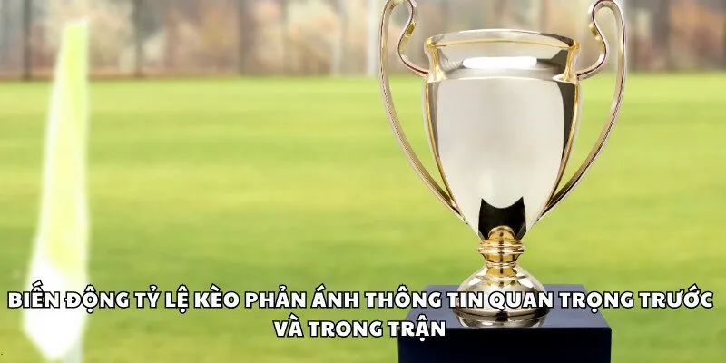 Chiến thuật đặt cược phải linh hoạt dựa trên diễn biến trận đấu